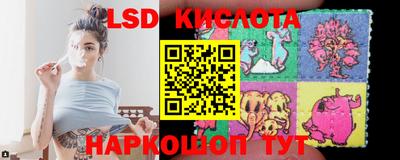 стаф Сланцы